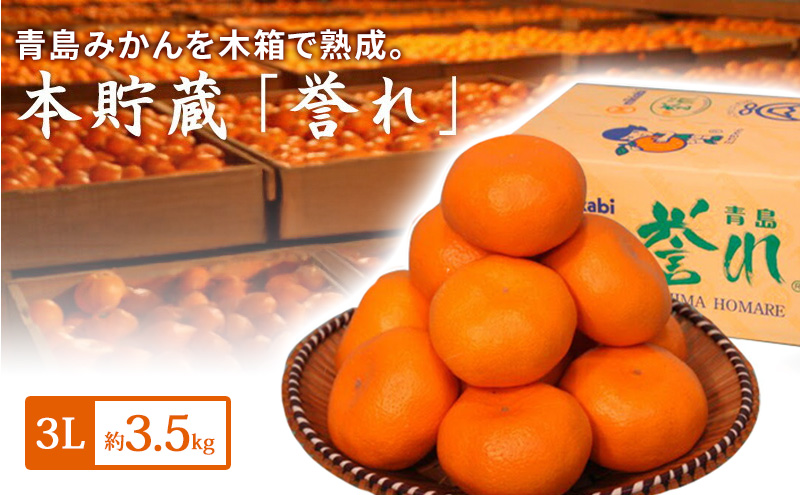 青島三ヶ日みかん 本貯蔵 「誉れ」  3L 約3.5kg （約13個）みかん ミカン フルーツ 果物 静岡 浜松市