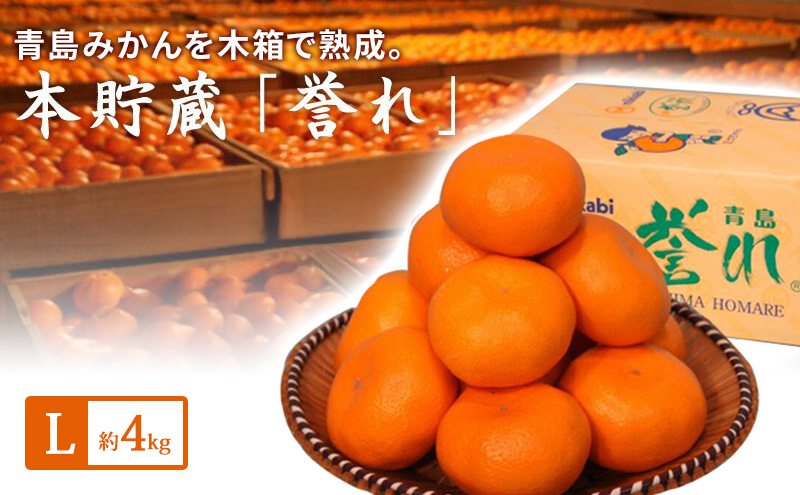 青島三ヶ日みかん 本貯蔵 「誉れ」  L 約4kg （約28個）みかん ミカン フルーツ 果物 静岡 浜松市