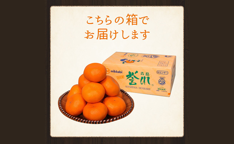 青島三ヶ日みかん 本貯蔵 「誉れ」  L 約4kg （約28個）みかん ミカン フルーツ 果物 静岡 浜松市