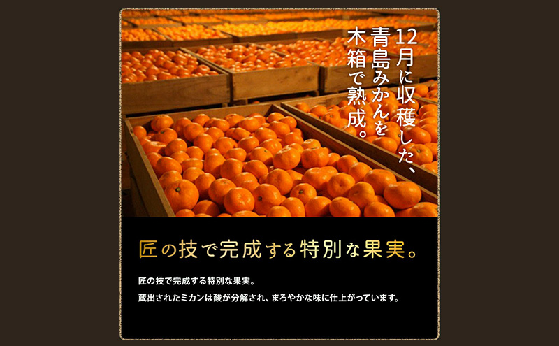 青島三ヶ日みかん 本貯蔵 「誉れ」  M 約4kg  (約36個) みかん ミカン フルーツ 果物 静岡 浜松市