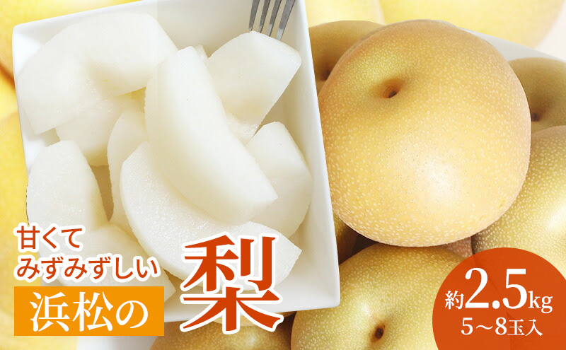 浜松市産 梨 約2.5kg 5～8玉入り なし フルーツ 果物 静岡 浜松市【配送不可：離島】
