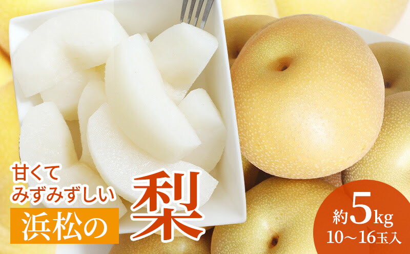 浜松市産 梨 約5kg 10〜16玉入り なし フルーツ 果物 静岡 浜松市【配送不可：離島】
