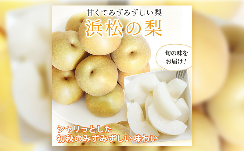 æµæŸåžç£ 梚 çŽ5kg 10ã16çå
¥ã ãªã ãã«ãŒã æç© é岡 æµæŸåžãé
éäžå¯ïŒé¢å³¶ã