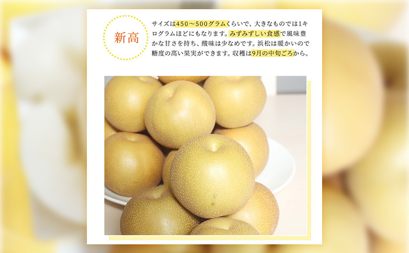 æµæŸåžç£ 梚 çŽ5kg 10ã16çå
¥ã ãªã ãã«ãŒã æç© é岡 æµæŸåžãé
éäžå¯ïŒé¢å³¶ã