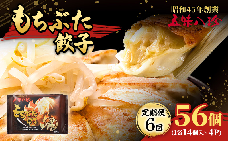 【定期便6回】 もちぶた餃子56個（1袋14個入×4パック） 五味八珍 餃子 ぎょうざ ギョウザ 国産 ブランド豚 もち豚 浜松餃子 冷凍餃子 冷凍 さっぱり 甘み 惣菜 中華 点心 静岡県 浜松市