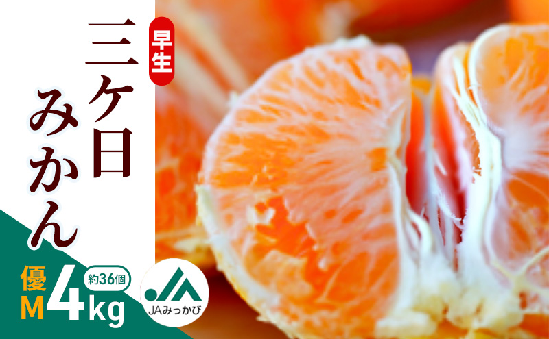 早生三ケ日みかん 優M 4kg （約36個）みかん ミカン フルーツ 果物 くだもの 機能性表示食品 浜松市