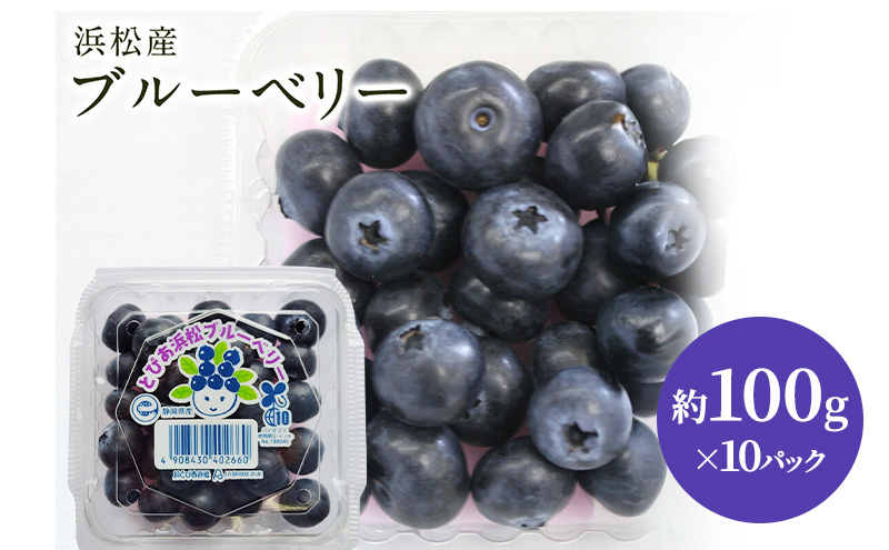 【浜松市産】ブルーベリー 約100g×10パック 計約1kg 甘酸っぱい アントシアニン 食物繊維 ビタミン ミネラル 抗酸化作用 腸内環境改善 美容 美肌 健康 静岡県 浜松市