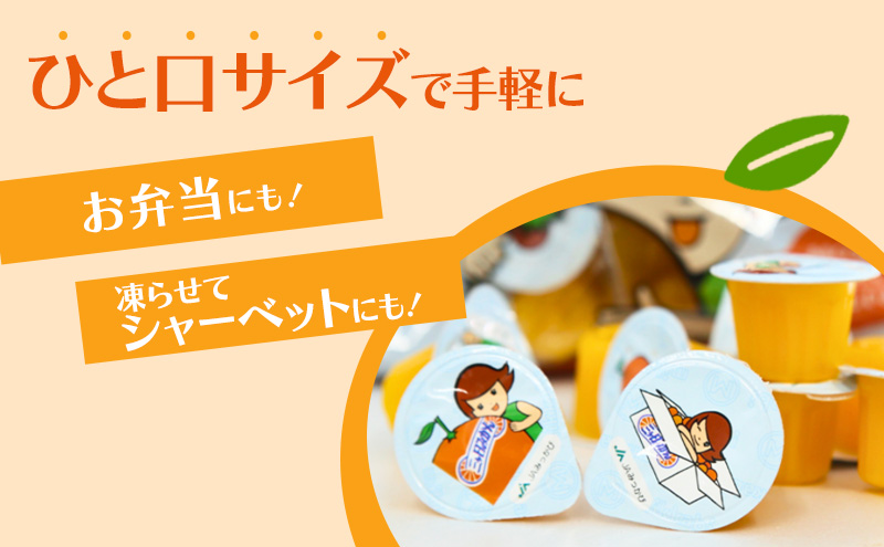 ミカちゃんのおやつゼリー 30個入×4袋 ゼリー みかん ミカン お菓子 おやつ デザート ひと口サイズ 手軽 三ヶ日みかん 濃厚 お弁当 シャーベット 静岡 浜松市