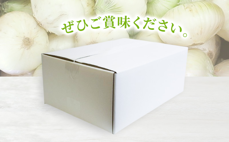 静岡県浜松市産 新玉ねぎ サラダオニオン Lサイズ 10kg 約50個 野菜 新玉ねぎ たまねぎ タマネギ サラダ オニオン 国産 浜松市 静岡 【配送不可：離島】