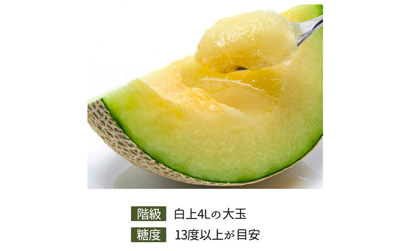 ãéå²¡çæµæŸåžç£ãã¢ãŒã«ã¹ã¡ãã³çŽ1.5kg以äžÃ6ç çœççŽ ãé
éäžå¯ïŒé¢å³¶ãã¡ãã³ melon ãã«ãŒã æç© é岡 æµæŸåž