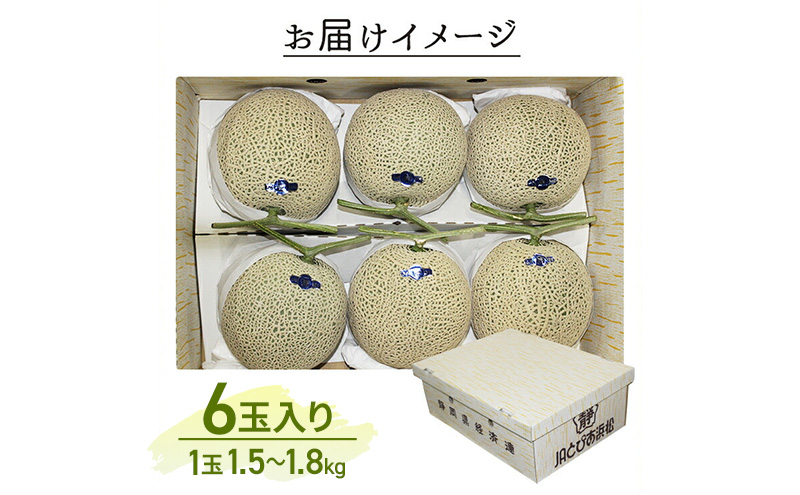 ãéå²¡çæµæŸåžç£ãã¢ãŒã«ã¹ã¡ãã³çŽ1.5kg以äžÃ6ç çœççŽ ãé
éäžå¯ïŒé¢å³¶ãã¡ãã³ melon ãã«ãŒã æç© é岡 æµæŸåž