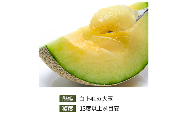 ãéå²¡çæµæŸåžç£ãã¢ãŒã«ã¹ã¡ãã³çŽ1.5kg以äžÃ2ç çœççŽ ãé
éäžå¯ïŒé¢å³¶ãã¡ãã³ melon ãã«ãŒã æç© é岡 æµæŸåž