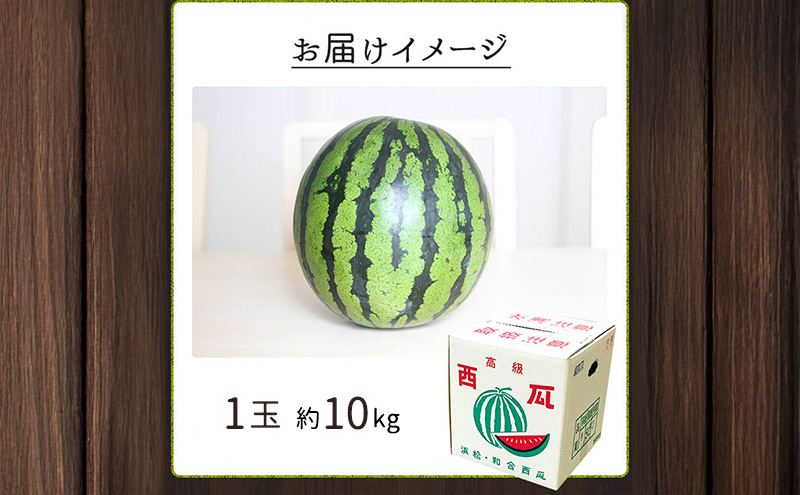 【浜松市産】超大玉スイカ 1玉 約10kg すいか スイカ 西瓜 果物 くだもの 大玉 フルーツ プレゼント お中元 静岡 浜松市【配送不可：離島】 
