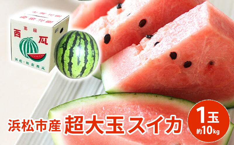 【浜松市産】超大玉スイカ 1玉 約10kg すいか スイカ 西瓜 果物 くだもの 大玉 フルーツ プレゼント お中元 静岡 浜松市【配送不可：離島】 