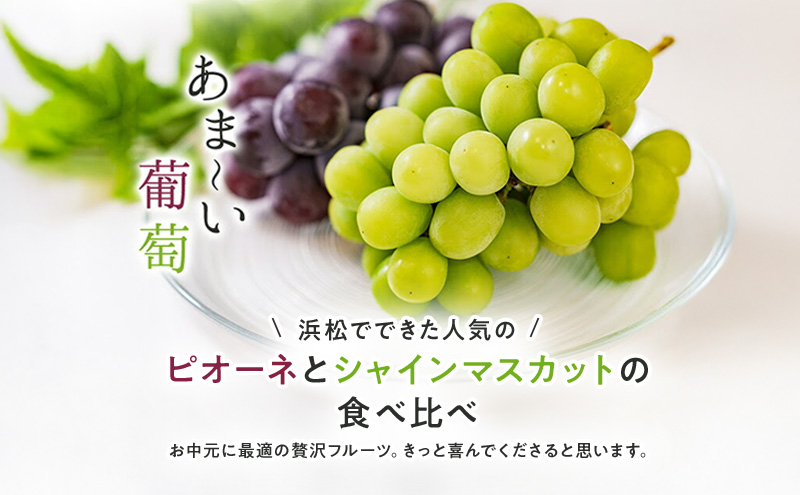 【浜松市産 JAとぴあ浜松】シャインマスカットとピオーネ 1房500g以上大房×2種 合計2房（約1kg） シャインマスカット ピオーネ ぶどう 葡萄 フルーツ プレゼント お中元 クール 静岡 浜松市【配送不可：離島】 