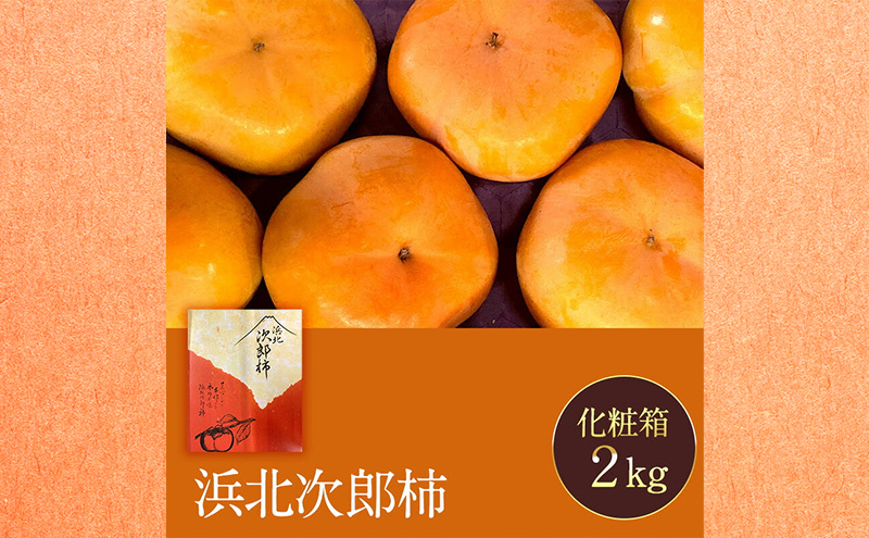 静岡県浜松市産 次郎柿 約2kg 6玉～9玉 柿 甘柿 フルーツ 果物 化粧箱入 静岡 浜松市【配送不可：離島】