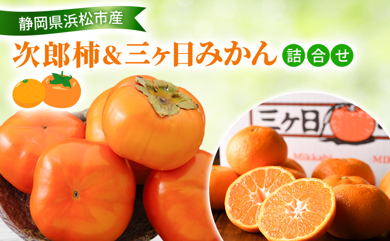 ã2026幎11æçºéã æ¬¡éæ¿ïŒäžã¶æ¥ã¿ããè©°åã æ¬¡éæ¿9ïœ12å çŽ2.5Kg äžã±æ¥ã¿ãã çŽ3Kg MïœL æ¿ ãã ã¿ãã ãã«ã³ èæ ã»ããåå è©°åã ãã«ãŒãã»ãã ãã«ãŒã æç© ãã ãã® éå²¡ç æµæŸåž