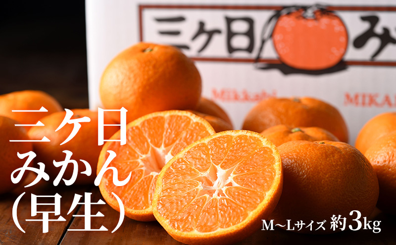 ã2026幎11æçºéã ã¯ã©ãŠã³ã¡ãã³ïŒæ¬¡éæ¿ïŒäžã¶æ¥ã¿ããè©°åã ã¯ã©ãŠã³ã¡ãã³1åçŽ1.3Kg çœççŽ æ¬¡éæ¿ 5ïœ6å çŽ1.5Kg äžã¶æ¥ã¿ããïŒæ©çïŒçŽ3Kg MãŸãã¯L é岡 æµæŸåž