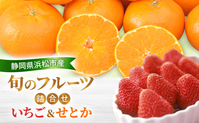 ã2026幎2æçºéã æ¬ã®ãã«ãŒãè©°åã ãã¡ãïŒããšã çŽ
ã»ã£ãºãŸãã¯ããã³éŠ çŽ260g1ãã㯠ããšã4åçŽ800ïœ ææ©ã®æé«å³° èº ãã«ã³ èæ ãé
éäžå¯ïŒé¢å³¶ã ãã«ãŒãã»ãã é岡 æµæŸåž