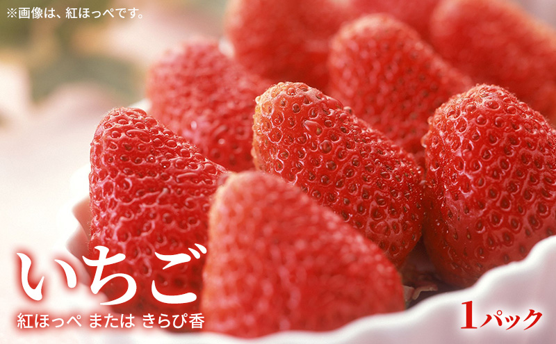 ã2026幎2æçºéã æ¬ã®ãã«ãŒãè©°åã ãã¡ãïŒããšã çŽ
ã»ã£ãºãŸãã¯ããã³éŠ çŽ260g1ãã㯠ããšã4åçŽ800ïœ ææ©ã®æé«å³° èº ãã«ã³ èæ ãé
éäžå¯ïŒé¢å³¶ã ãã«ãŒãã»ãã é岡 æµæŸåž