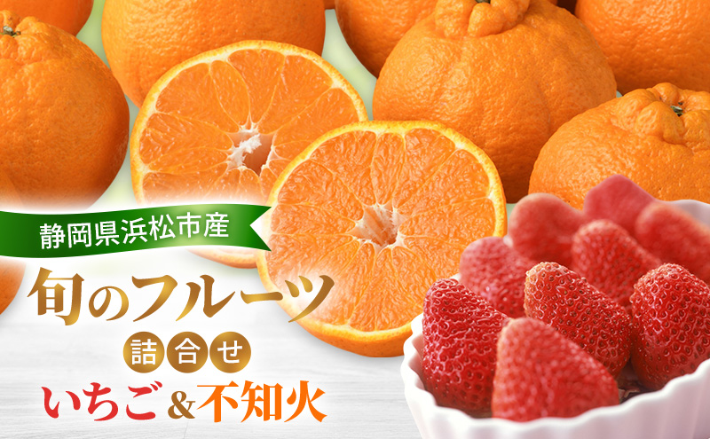 ã2026幎2æçºéã æ¬ã®ãã«ãŒãè©°åã ãã¡ãïŒäžç¥ç« çŽ
ã»ã£ãºãŸãã¯ãããŽéŠ çŽ260g1ãã㯠äžç¥ç«4åçŽ800g ããã¬ã ãã³ èº ãã«ã³ ãé
éäžå¯ïŒé¢å³¶ã ãã«ãŒãã»ãã é岡 æµæŸåž