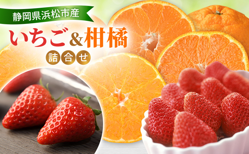 ã2026幎2æçºéã ãã¡ãïŒçŽ
ã»ã£ãºã»ãããŽéŠïŒïŒææ©ïŒããšãã»äžç¥ç«ïŒè©°åã çŽ
ã»ã£ãºã»ãããŽéŠïŒå1ããã¯ïŒ ããšã4å äžç¥ç«4å ããã¬ã ãã³ èº ãã«ã³ãé
éäžå¯ïŒé¢å³¶ã é岡 æµæŸåž