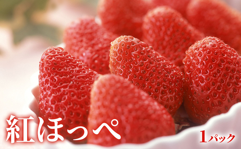 ã2026幎2æçºéã ãã¡ãïŒçŽ
ã»ã£ãºã»ãããŽéŠïŒïŒææ©ïŒããšãã»äžç¥ç«ïŒè©°åã çŽ
ã»ã£ãºã»ãããŽéŠïŒå1ããã¯ïŒ ããšã4å äžç¥ç«4å ããã¬ã ãã³ èº ãã«ã³ãé
éäžå¯ïŒé¢å³¶ã é岡 æµæŸåž