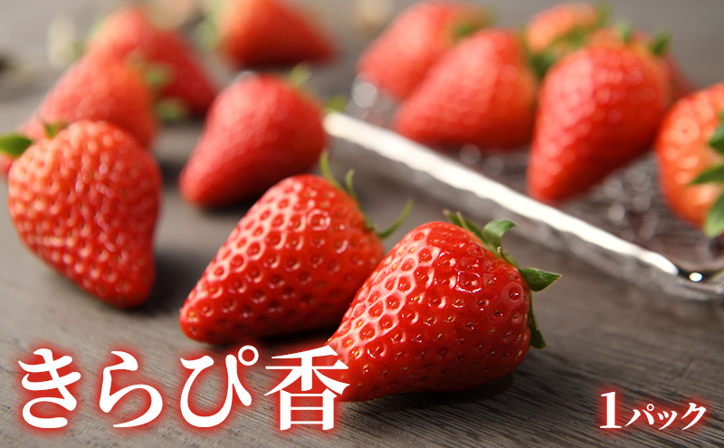 ã2026幎2æçºéã ãã¡ãïŒçŽ
ã»ã£ãºã»ãããŽéŠïŒïŒææ©ïŒããšãã»äžç¥ç«ïŒè©°åã çŽ
ã»ã£ãºã»ãããŽéŠïŒå1ããã¯ïŒ ããšã4å äžç¥ç«4å ããã¬ã ãã³ èº ãã«ã³ãé
éäžå¯ïŒé¢å³¶ã é岡 æµæŸåž