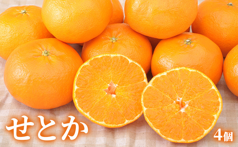 【2026年2月発送】クラウンメロン&せとか詰合せ クラウンメロン 1個 約1.3kg 白等級 せとか 4個 柑橘の最高峰 ジューシー メロン めろん 柑橘 かんきつ みかん ミカン 蜜柑 静岡 浜松市