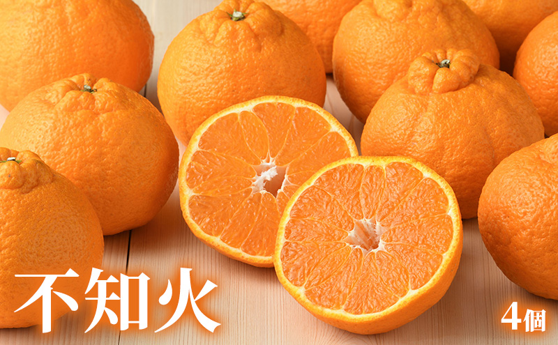 ã2026幎2æçºéã ã¯ã©ãŠã³ã¡ãã³&äžç¥ç«è©°åã ã¯ã©ãŠã³ã¡ãã³ 1å çŽ1.3kg äžç¥ç« 4å ããã¬ã ãã³ ãžã¥ãŒã·ãŒ ã¡ãã³ ããã ææ© ã¿ãã ãã«ã³ é岡 æµæŸåž