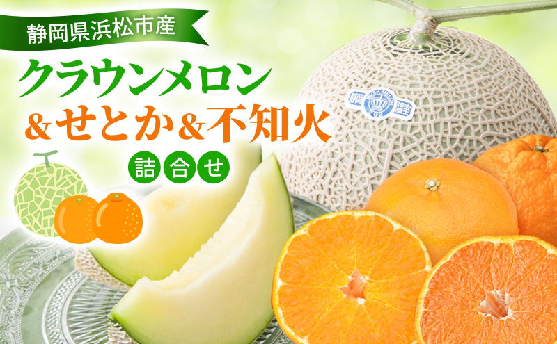 【2026年2月発送】クラウンメロン&せとか&不知火詰合せ クラウンメロン 1個 約1.3kg 白等級 せとか 4個 不知火 4個 しらぬい デコ メロン 柑橘 ミカン 蜜柑  静岡 浜松市