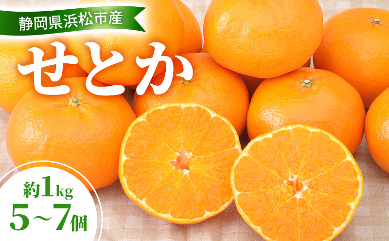 【2026年2月以降発送】せとか 約1Kg 5～7個 柑橘の最高峰 かんきつ 柑橘 みかん ミカン 蜜柑 人気 静岡 浜松市