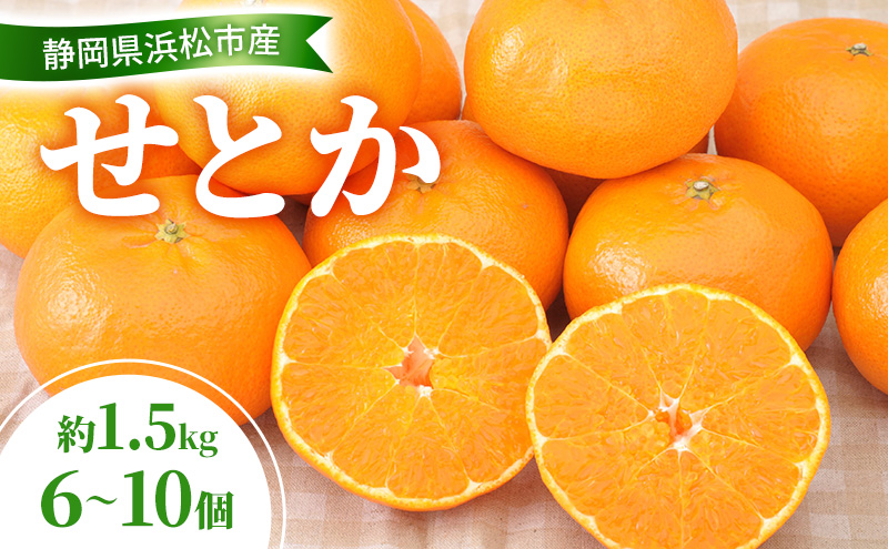 【2026年2月以降発送】 せとか 約1.5kg 6～10個 柑橘の最高峰 かんきつ 柑橘 みかん ミカン 蜜柑 人気 静岡 浜松市