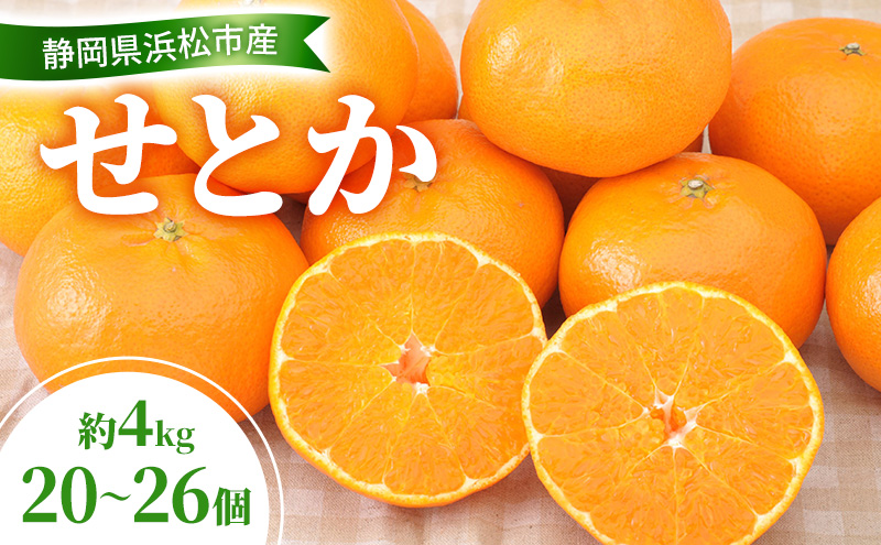 【2026年2月以降発送】 せとか 約4kg 20～26個 柑橘の最高峰 かんきつ 柑橘 みかん ミカン 蜜柑 人気 静岡 浜松市