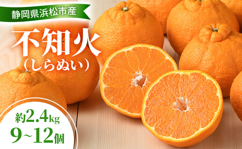 【2026年3月以降発送】 不知火 約2.4kg 9～12個 しらぬい デコ かんきつ 柑橘 みかん ミカン 蜜柑 フルーツ 静岡 浜松市