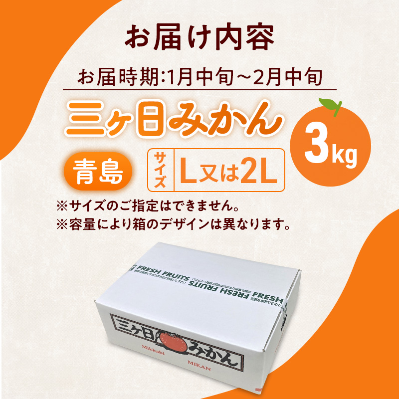 三ヶ日みかん 青島 3kg L又は2L 1月中旬より順次発送 みかん ミカン 蜜柑 青島みかん 三ヶ日 果物 くだもの フルーツ 旬の果物 旬のフルーツ 柑橘 柑橘類 糖度 静岡 静岡県 浜松市