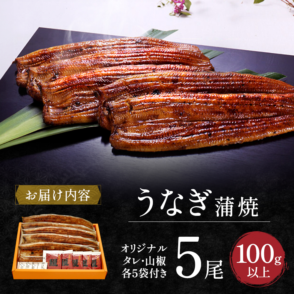 うなぎ 国産 長蒲焼 5尾 小分け 詰め合わせ 国産 うなぎ蒲焼 国産うなぎ 惣菜 おかず ギフト 贈答 贈答用 贈答品 土用の丑の日 丑の日 レンジ調理 レンチン 蒲焼き うな重 鰻 真空パック 冷蔵 冷蔵配送 静岡 静岡県 浜松市