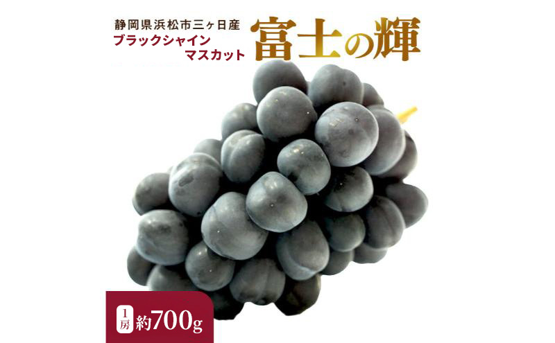 【期間限定】【静岡県浜松市三ヶ日産】高平農園のブラックシャインマスカット「富士の輝」1房（約700g）化粧箱入り ぶどう 夏 大粒 ブドウ 贈答 ギフト 静岡 浜松市【配送不可：離島】