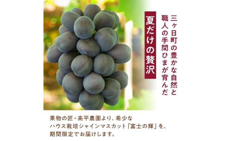 【期間限定】【静岡県浜松市三ヶ日産】高平農園のブラックシャインマスカット「富士の輝」1房（約700g）化粧箱入り ぶどう 夏 大粒 ブドウ 贈答 ギフト 静岡 浜松市【配送不可：離島】