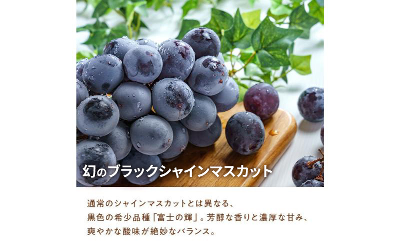 【期間限定】【静岡県浜松市三ヶ日産】高平農園のブラックシャインマスカット「富士の輝」1房（約700g）化粧箱入り ぶどう 夏 大粒 ブドウ 贈答 ギフト 静岡 浜松市【配送不可：離島】