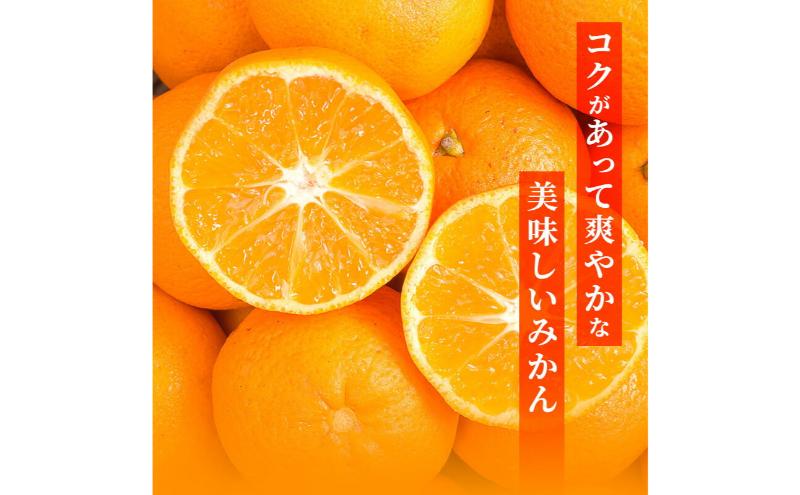 【訳あり】三ヶ日平山産 加藤柑橘園のみかん 約10kg みかん ミカン 蜜柑 青島みかん フルーツ 静岡 浜松市