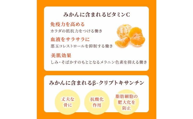 【訳あり】三ヶ日平山産 加藤柑橘園のみかん 約10kg みかん ミカン 蜜柑 青島みかん フルーツ 静岡 浜松市