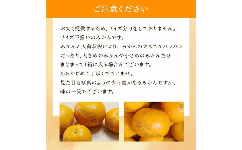 【訳あり】三ヶ日平山産 加藤柑橘園のみかん 約10kg みかん ミカン 蜜柑 青島みかん フルーツ 静岡 浜松市