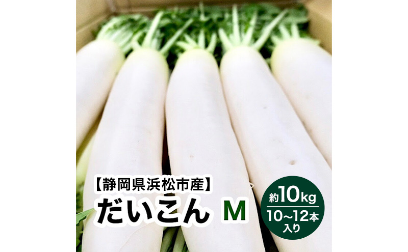 【静岡県浜松市産】大根 Mサイズ 約10kg 10～12本入り 【配送不可：離島】 だいこん ダイコン 根菜 静岡 浜松市