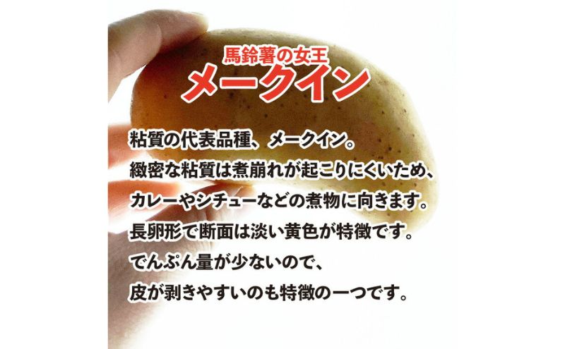 【静岡県浜松市産】三方原馬鈴薯 メークイン Lサイズ 約10kg（1袋約1kg×10袋） じゃがいも 芋 野菜 静岡 浜松市