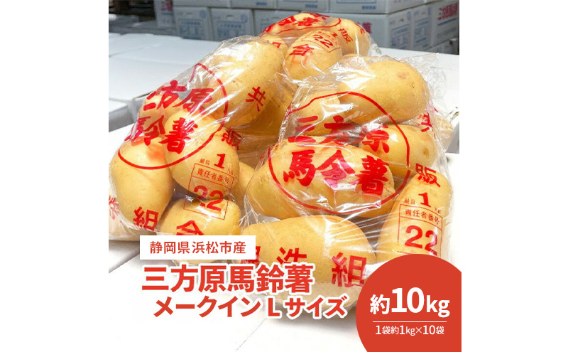 【静岡県浜松市産】三方原馬鈴薯 メークイン Lサイズ 約10kg（1袋約1kg×10袋） じゃがいも 芋 野菜 静岡 浜松市