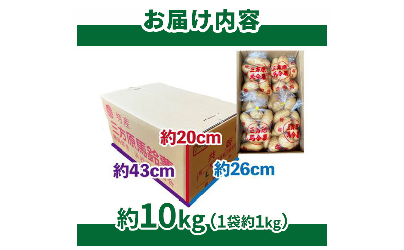 【静岡県浜松市産】三方原馬鈴薯 メークイン Lサイズ 約10kg（1袋約1kg×10袋） じゃがいも 芋 野菜 静岡 浜松市