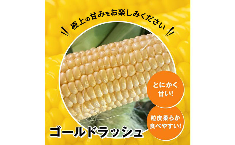 浜松産 スイートコーン ゴールドラッシュ 約5kg 14本～16本入り 1本300g以上 黄色粒 モノカラー種 とうもろこし 静岡 浜松市【配送不可：北海道、沖縄、離島】