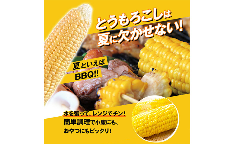 浜松産 スイートコーン ゴールドラッシュ 約5kg 14本～16本入り 1本300g以上 黄色粒 モノカラー種 とうもろこし 静岡 浜松市【配送不可：北海道、沖縄、離島】