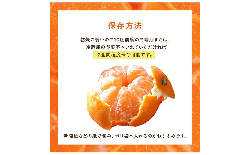 浜松市産 JAとぴあ浜松 ハウスとぴあみかん 秀Mサイズ 約2.5kg 約25個入り 糖度11度以上 みかん ミカン 静岡 浜松市